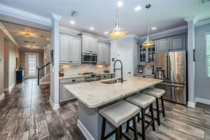 11321 LAZY HICKORY LANE, TAMPA, FL 33635 Sold 09/25/23