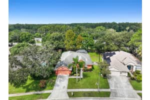 598 EQUINE DRIVE, TARPON SPRINGS, FL 34688 Sold 10/10/23
