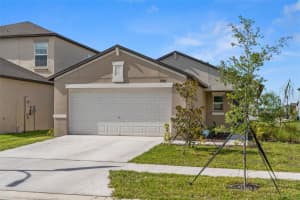 17927 BLISSFUL STARS DRIVE, LUTZ, FL 33558 Sold 02/15/24