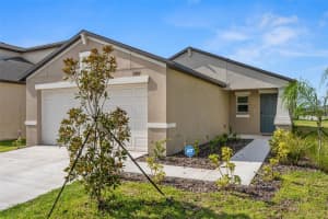 17927 BLISSFUL STARS DRIVE, LUTZ, FL 33558 Sold 02/15/24