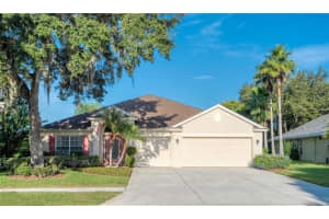 19806 WYNDHAM LAKES DRIVE, ODESSA, FL 33556 Sold 11/20/23