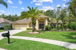 850 CRESTRIDGE CIRCLE, TARPON SPRINGS, FL 34688 Sold 10/31/23
