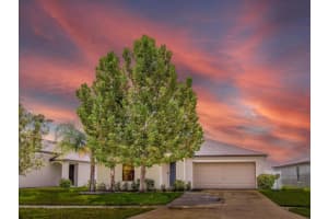 14113 COVERT GREEN PLACE, RIVERVIEW, FL 33579 Sold 10/31/23