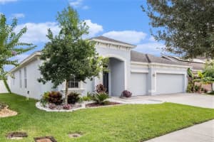 6410 FALLING OAK TRAIL, WESLEY CHAPEL, FL 33545 Sold 09/27/23