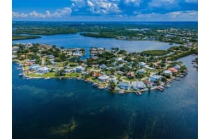 134 CARLYLE DRIVE, PALM HARBOR, FL 34683 - MLS#MFRU8212511