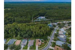 4829 RIDGEMOOR CIRCLE, PALM HARBOR, FL 34685 Sold 10/23/23