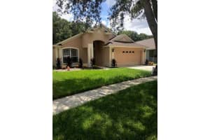 6254 CRICKETHOLLOW DRIVE, RIVERVIEW, FL 33578 Sold 02/26/24
