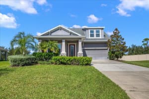 3135 MELA COURT, HOLIDAY, FL 34691 Sold 11/21/23
