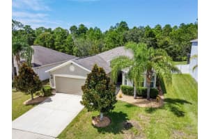 18313 WAYDALE LOOP, HUDSON, FL 34667 Sold 11/23/23