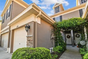 11274 WINDSOR PLACE CIRCLE, TAMPA, FL 33626 Sold 10/30/23