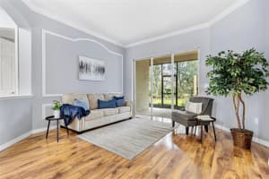 20404 WALNUT GROVE LANE, TAMPA, FL 33647 Sold 08/01/24