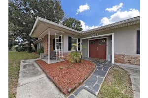 4004 COACHMAN AVENUE, TAMPA, FL 33611 - MLS#MFRU8214008