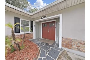 4004 COACHMAN AVENUE, TAMPA, FL 33611 - MLS#MFRU8214008