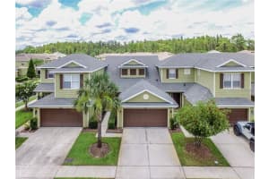 8542 SANDPIPER RIDGE AVENUE, TAMPA, FL 33647 Sold 10/27/23