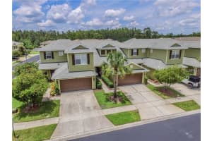 8542 SANDPIPER RIDGE AVENUE, TAMPA, FL 33647 Sold 10/27/23