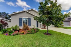 10238 STRAWBERRY TETRA DRIVE, RIVERVIEW, FL 33578 Sold 03/01/24