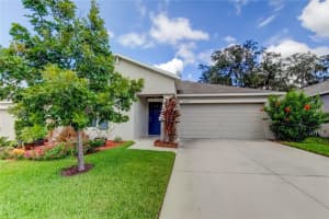 10238 STRAWBERRY TETRA DRIVE, RIVERVIEW, FL 33578 Sold 03/01/24
