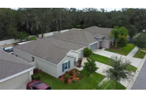 10238 STRAWBERRY TETRA DRIVE, RIVERVIEW, FL 33578 Sold 03/01/24