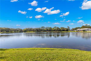 3076 OVERLOOK PLACE, CLEARWATER, FL 33760 Sold 11/27/23