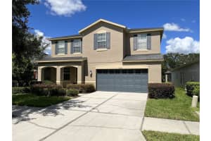 8718 TURNSTONE SHORE LANE, RIVERVIEW, FL 33578 Sold 02/14/24