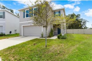 10913 TRAILING VINE DRIVE, TAMPA, FL 33610 - MLS#MFRU8215515