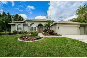 9916 GREEN IVY DRIVE, TRINITY, FL 34655 Sold 11/14/23