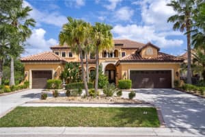 8406 DUNHAM STATION DRIVE, TAMPA, FL 33647 Sold 09/09/24
