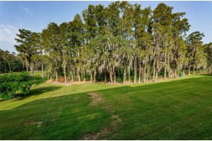 36750 US HIGHWAY 19 N #3-209, PALM HARBOR, FL 34684 - MLS#MFRU8215979