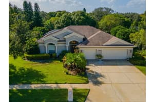 1507 LAKE PARKER DRIVE, ODESSA, FL 33556 Sold 12/04/23