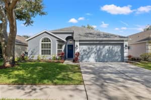 13517 WHITE ELK LOOP, TAMPA, FL 33626 Sold 11/20/23