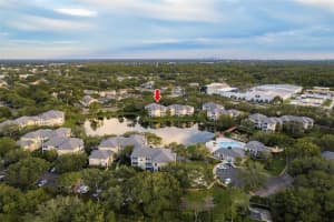 4107 CHATHAM OAK COURT, TAMPA, FL 33624 Sold 06/28/24