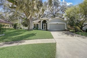 3346 CASTLE ROCK CIR, LAND O LAKES, FL 34639 Sold 11/29/23