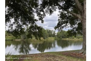 7462 HEATHER WALK DRIVE, WEEKI WACHEE, FL 34613 Sold 03/22/24