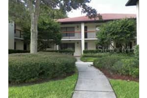 1609 HAMMOCK PINE BOULEVARD, CLEARWATER, FL 33761 Sold 03/15/24