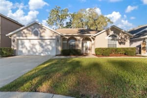 12824 BIG SUR DRIVE, TAMPA, FL 33625 Sold 02/22/24