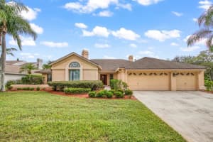 15101 ELMCREST STREET, ODESSA, FL 33556 Sold 02/13/24
