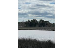 12214 RESTVIEW COURT, HOMOSASSA, FL 34448 - MLS#MFRU8217922