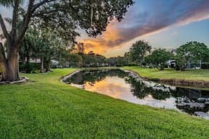 5559 SALEM SQUARE DRIVE, PALM HARBOR, FL 34685 Sold 03/11/24