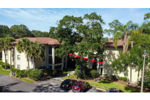 3423 MERMOOR DRIVE, PALM HARBOR, FL 34685 Sold 12/01/23