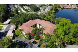 3423 MERMOOR DRIVE, PALM HARBOR, FL 34685 Sold 12/01/23