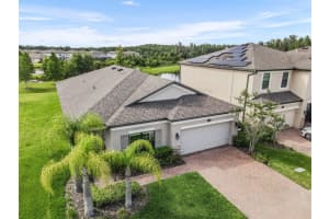 19506 WHISPERING BROOK DRIVE, TAMPA, FL 33647 Sold 05/14/24