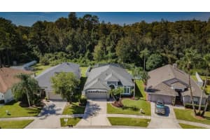 14530 WEEPING ELM DRIVE, TAMPA, FL 33626 Sold 12/13/23