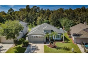 14530 WEEPING ELM DRIVE, TAMPA, FL 33626 Sold 12/13/23