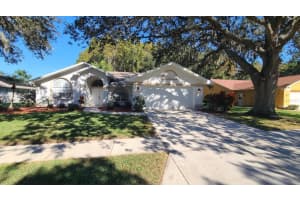 1724 PERCHERON DRIVE, TRINITY, FL 34655 Sold 12/19/23