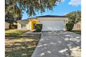 305 SHELBY BROOKE DRIVE, PLANT CITY, FL 33563 Sold 12/14/23
