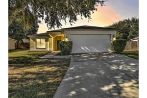 305 SHELBY BROOKE DRIVE, PLANT CITY, FL 33563 Sold 12/14/23