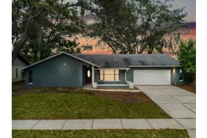 8621 WHITE SPRINGS DRIVE, NEW PORT RICHEY, FL 34655 Sold 03/29/24