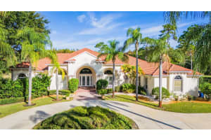 10345 ALICO PASS, NEW PORT RICHEY, FL 34655 Sold 04/19/24