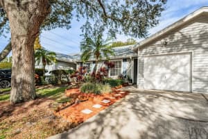 39650 US HIGHWAY 19 N #1613, TARPON SPRINGS, FL 34689 Sold 04/03/24