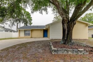 6803 SPANISH MOSS CIRCLE, TAMPA, FL 33625 Sold 04/01/24